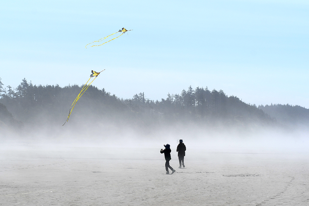 Kids fly kites on a misty morning on the beach at Seabrook, Washington