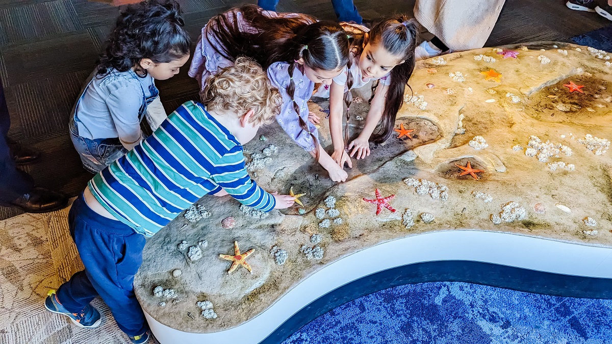 Children play in the Caring Cove indoor play area at the Seattle Aquarium. Caring Cove recently underwent a refresh.