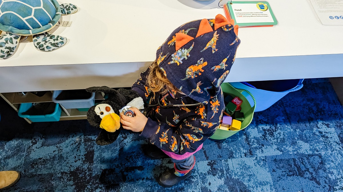 A child checks a toy puffin's heartbeat in the Caring Cove play area at Seattle Aquarium