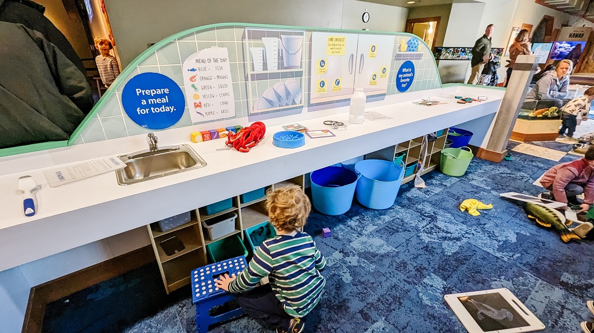A boy plays in the animal feeding area at Caring Cove indoor play area at the Seattle Aquarium