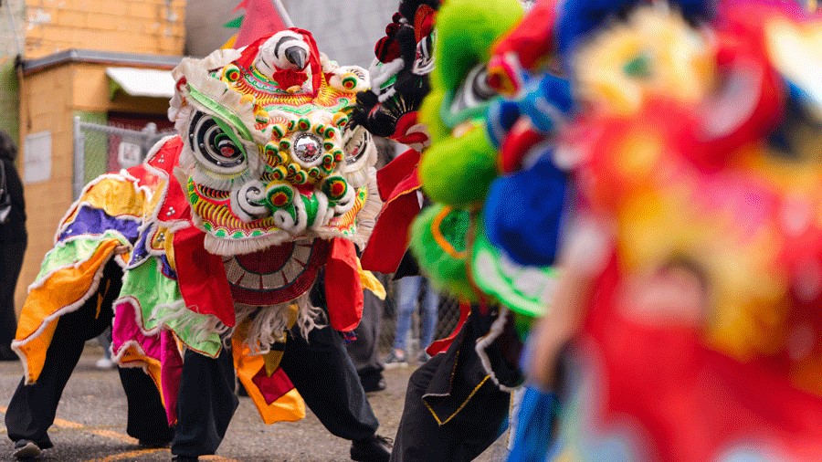 A lion dance outside the Wing Luke Museum during Lunar New Year in Seattle