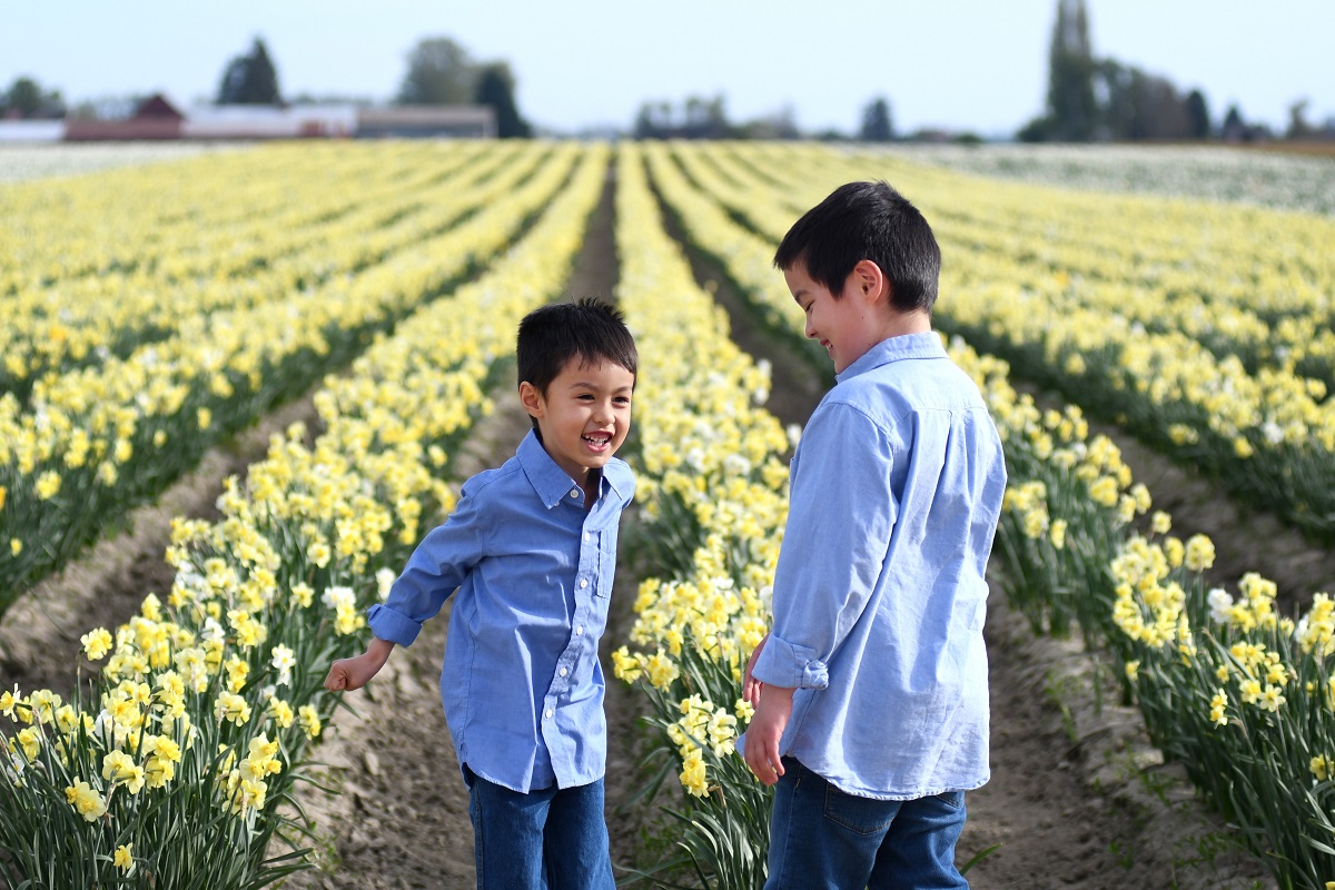 Boys pose in front of daffodil fields in advance of the annual April Skagit Valley Tulip Festival in Washington