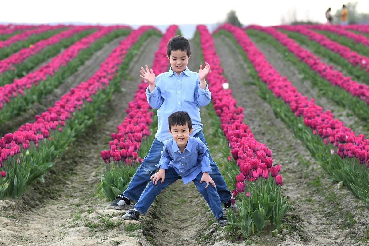 Boys playfully pose for the camera in front of rows of pink tulips stretching out behind them at the annual April Skagit Valley Tulip Festival in Washington