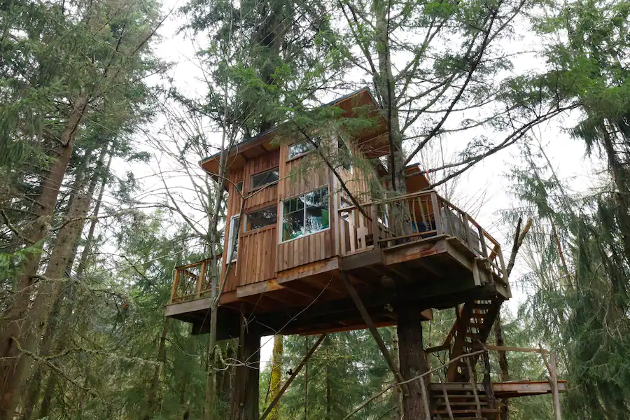 Beautiful treehouse nestled in the woods near Redmond, Washington