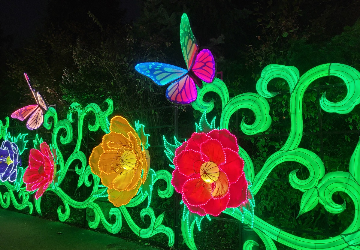 Colorful flowers on a vine with a butterfly lantern at Woodland Park Zoo in Seattle's 2022 WildLanterns show