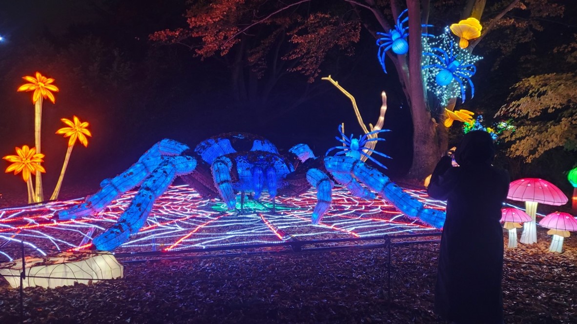 Woodland Park Zoo's WildLanterns 2023 features a giant spider