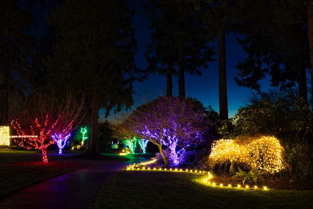View of Wintertide Lights free holiday season light display Everett Washington