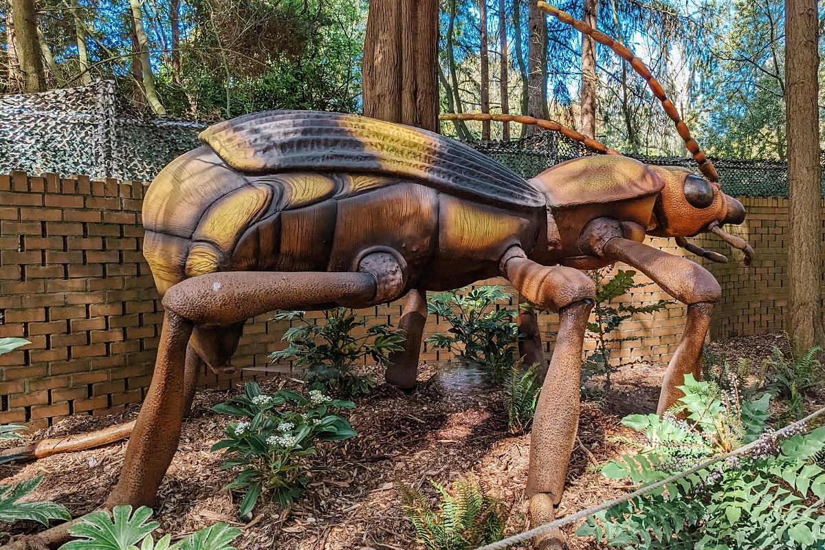 The fascinating bombardier beetle at A Bug's Eye View, new special exhibit at Seattle's Woodland Park Zoo