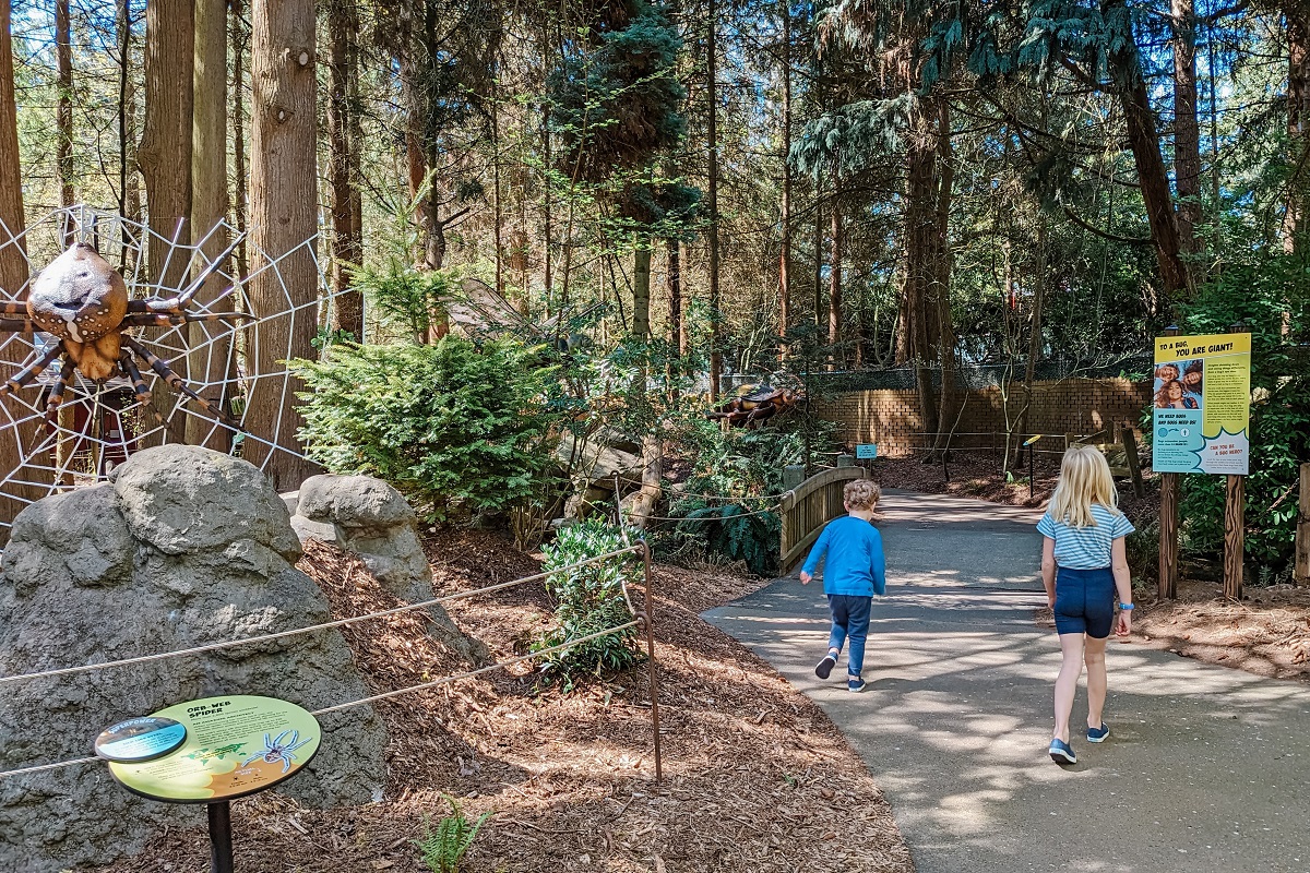 Kids walk along the pathway of A Bug's Eye View, a new special summer exhibit at Seattle's Woodland Park Zoo