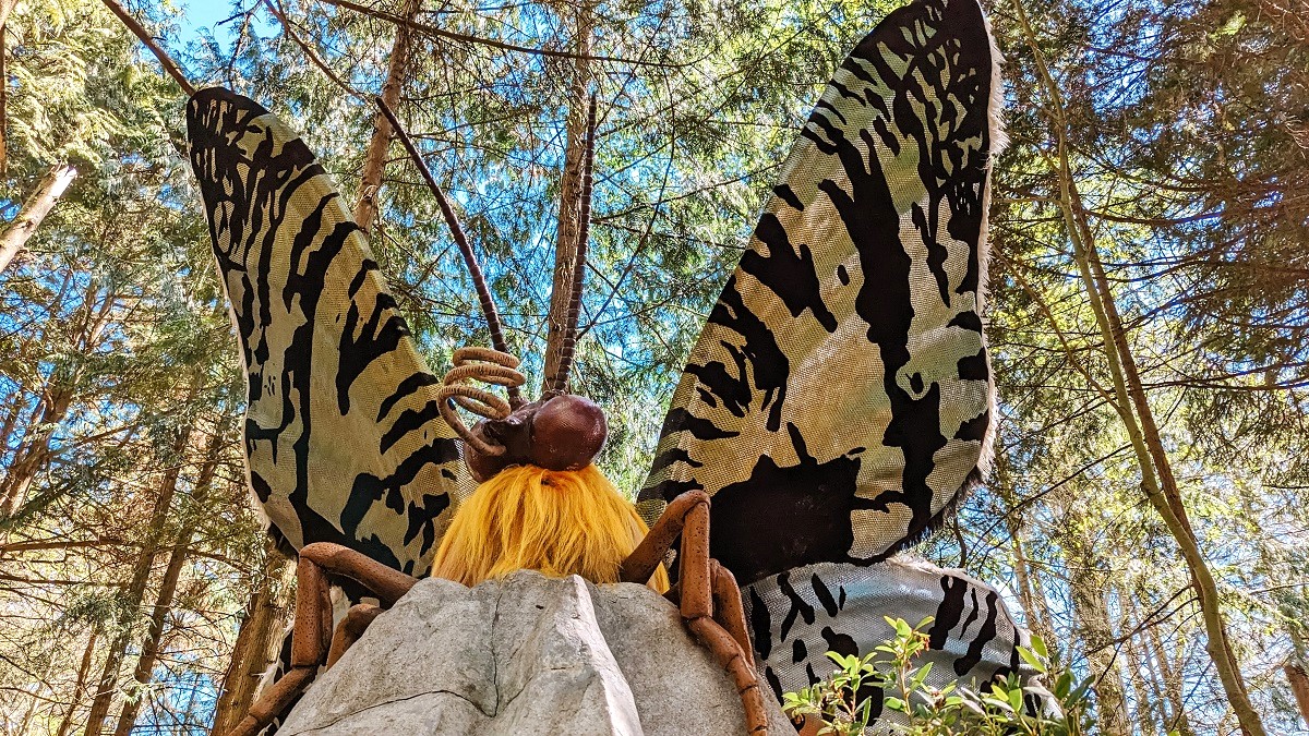 The furry butterfly at A Bug's Eye View at Seattle's Woodland Park Zoo