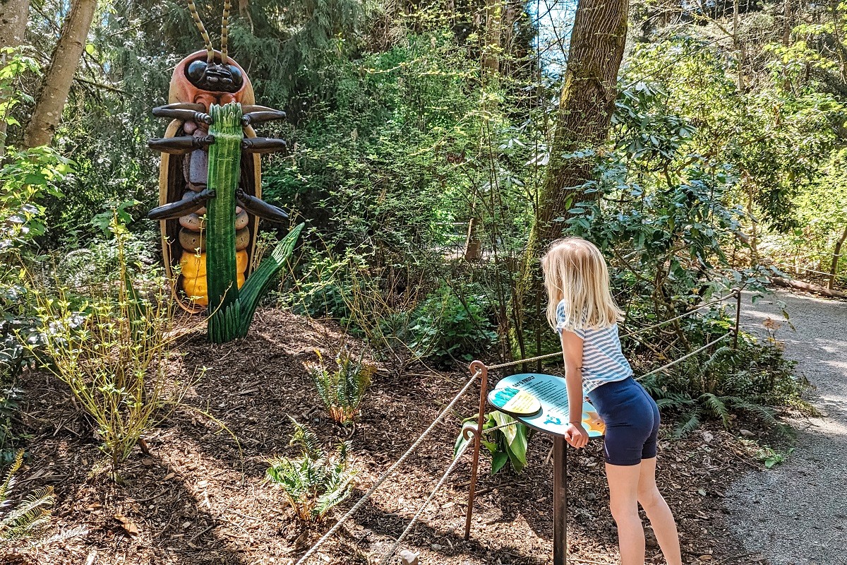 A girl at Woodland Park Zoo's A Bug's Eye View special exhibit inspects a large animatronic insect