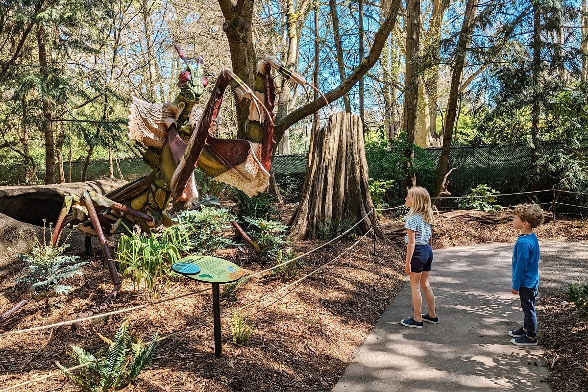 Kids look at a giant praying mantis model at A Bug's Eye View, a new temporary special exhibit at Woodland Park Zoo in Seattle
