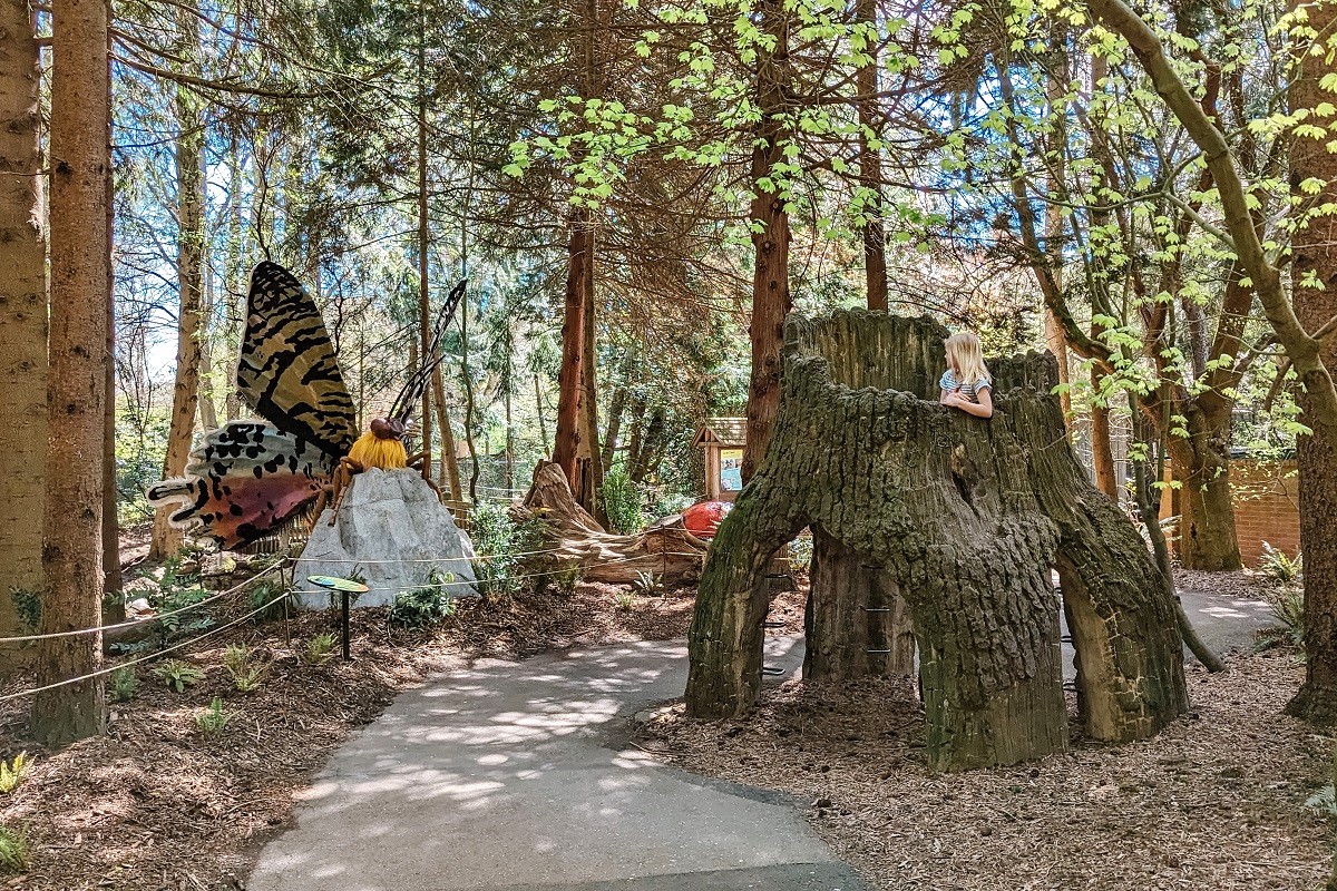 A girl looks out from a giant faux tree stump at a larger-than-life animatronic butterfly at A Bug's Eye View at Woodland Park Zoo Seattle