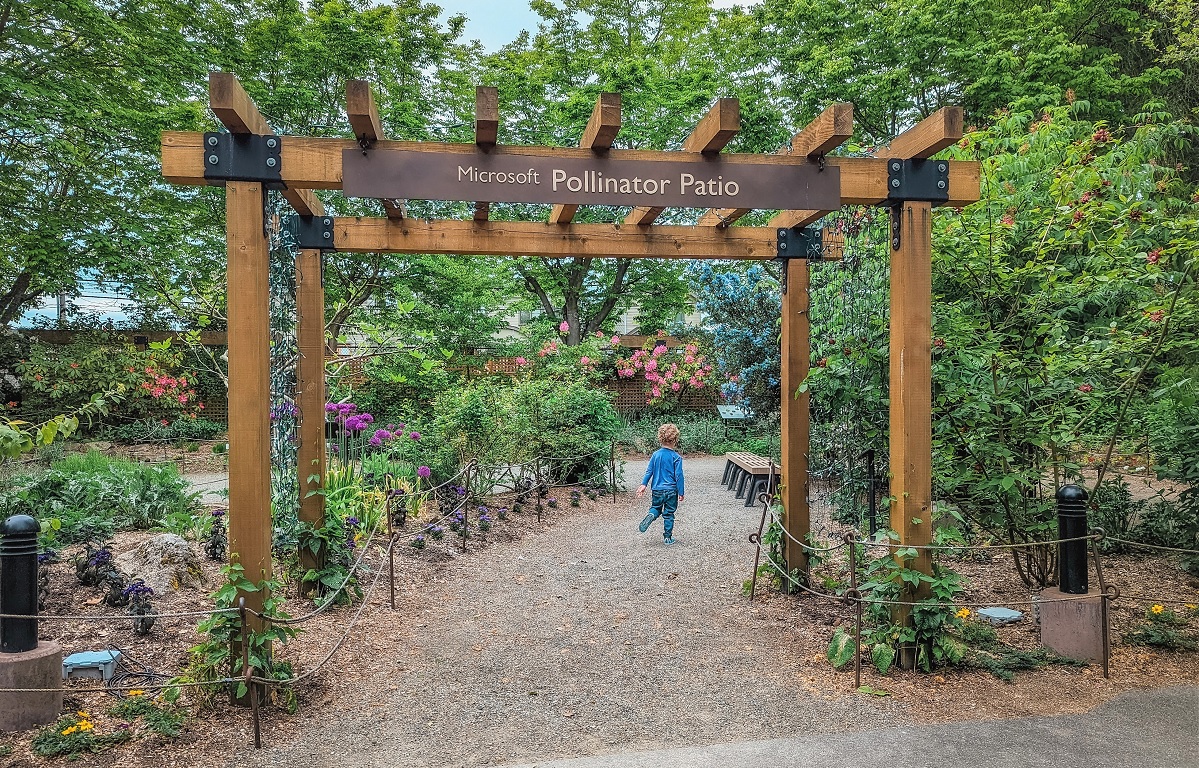 the pollinator patio outside the molbak’s butterfly garden at seattle’s woodland park zoo