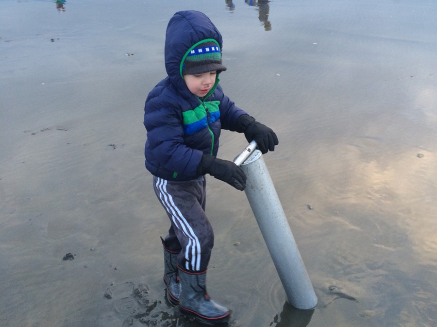 "a young boy digging for Razor clams in Washington"