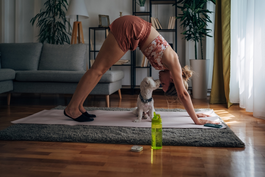 "Woman doing yoga with a dog sitting under her"