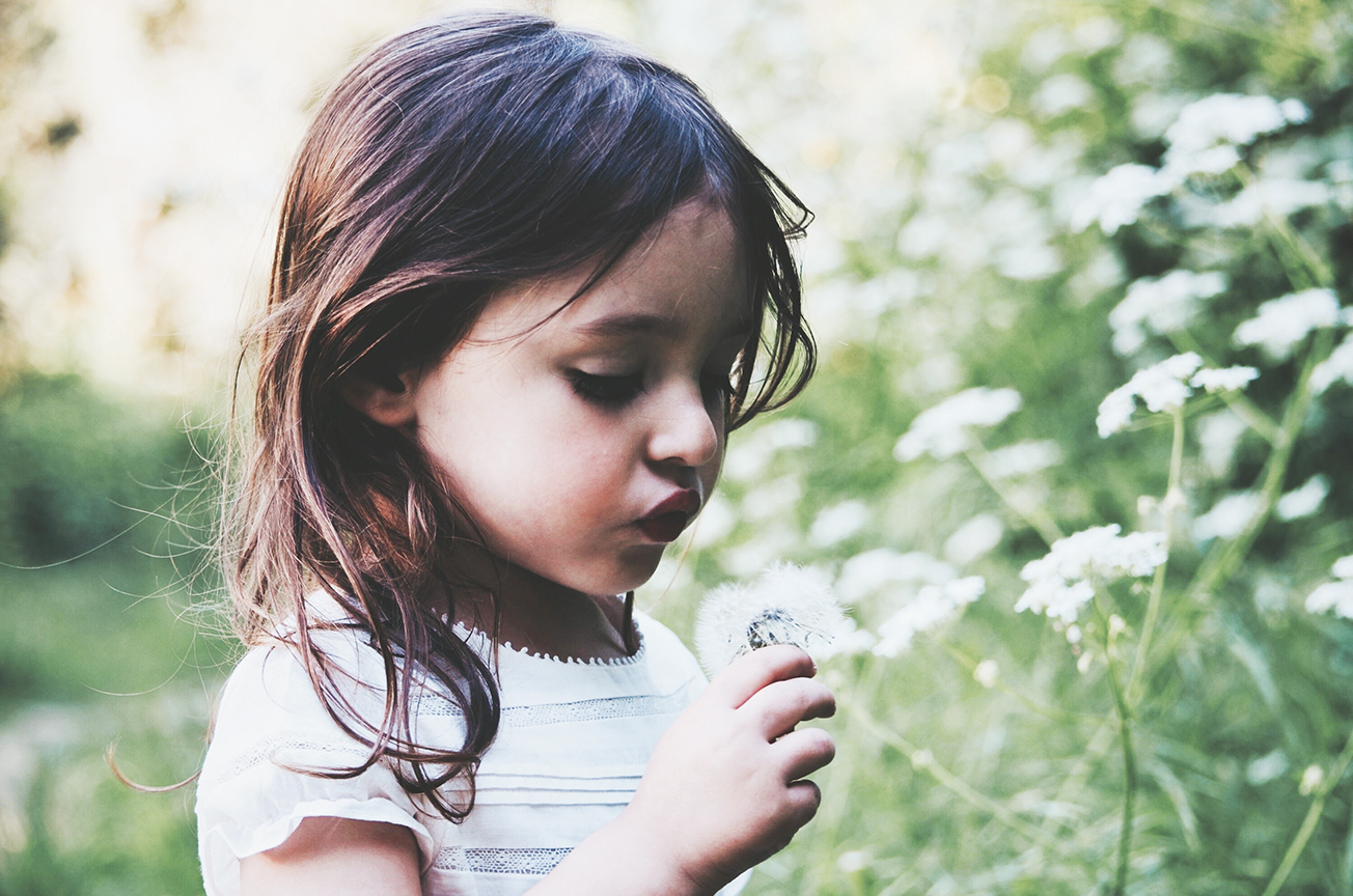 "Little girl blowing dandelion seeds"