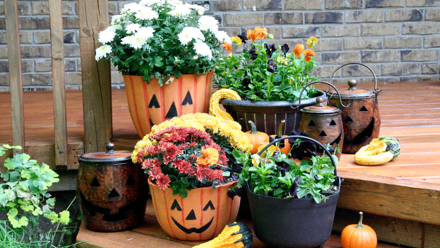 pumpkin planters on a porch are a great fall craft for adults to make