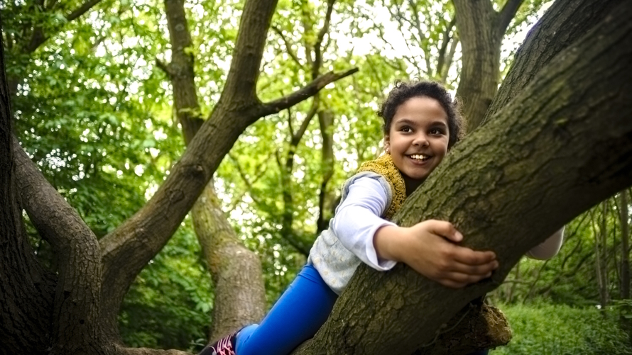 "Girl climbing a tree"