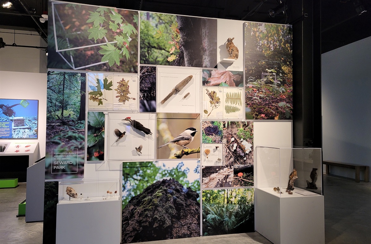 Exhibit display showing all the plant and animal life that passed through a Seward Park biocube