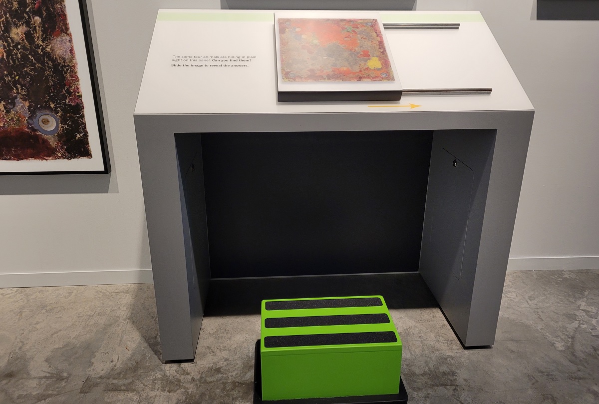 Hands-on display at Life in One Cubic Foot green step stool for kids