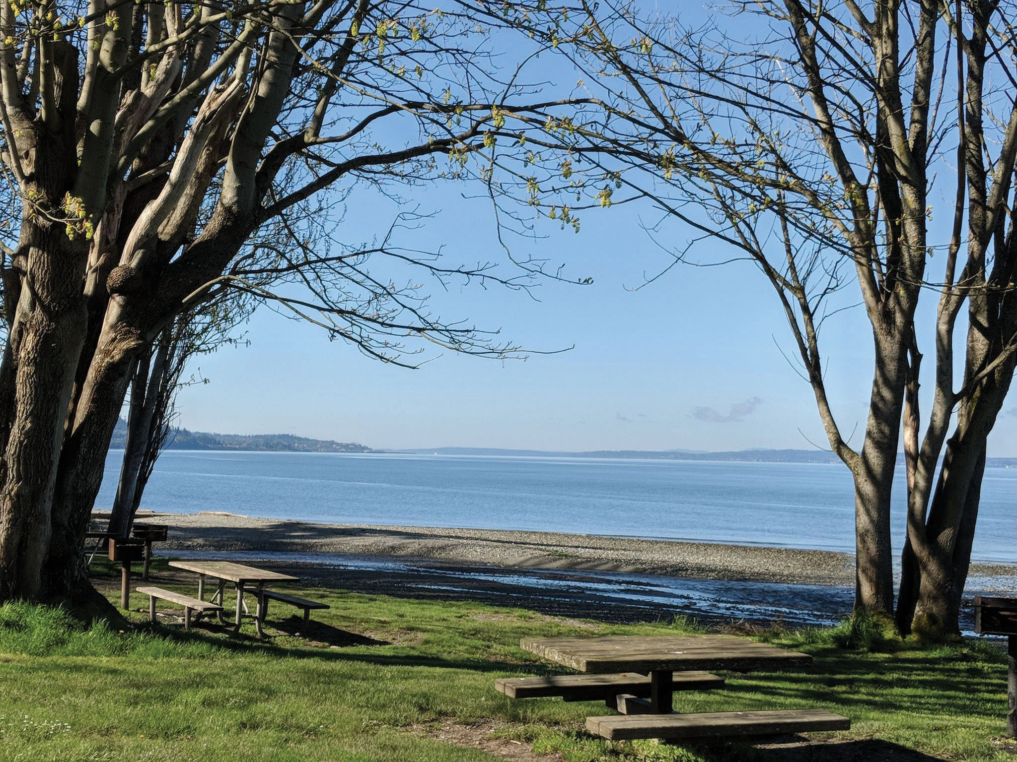 "Grassy park with picnic tables looking out to Puget Sound"