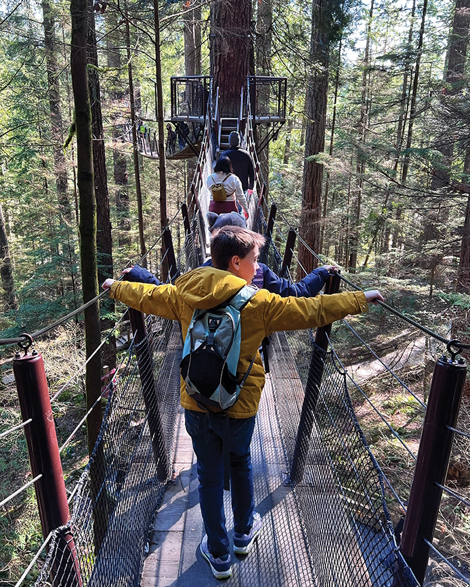 "Taking in the view from the suspension bridge"