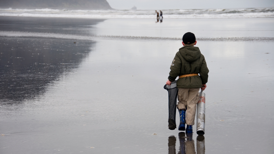 "Boy walking down the beach looking for clams Washington clamming"