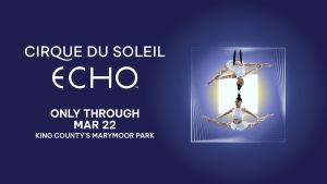 Cirque du Soleil image