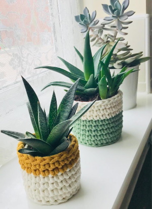knit- plant-pot-holders