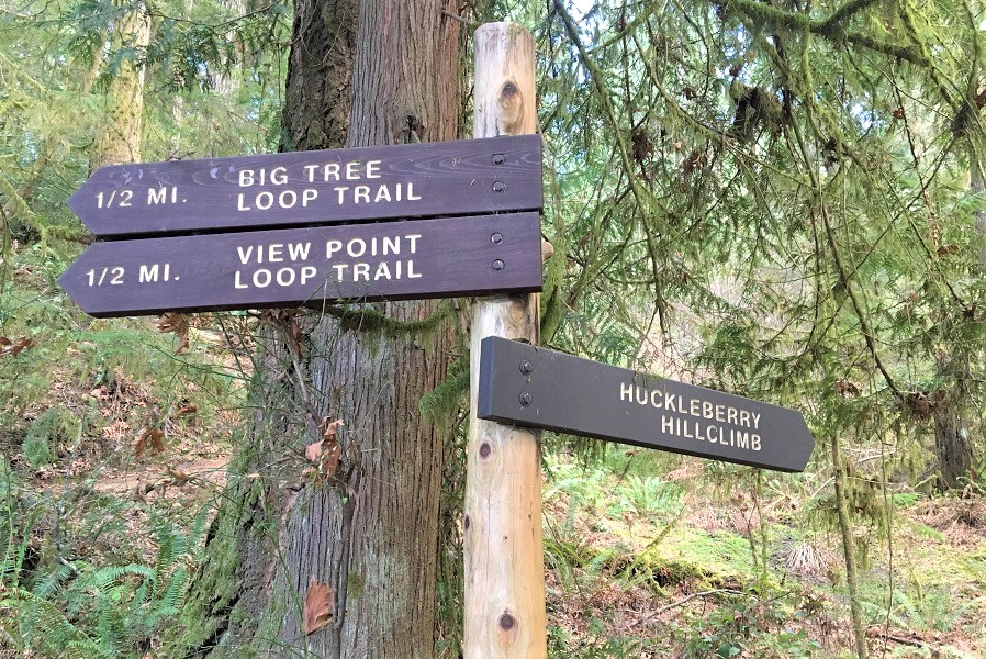 Trail signs mark hiking trails near Alderbrook Resort & Spa