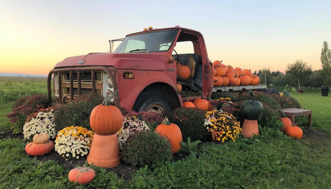 Pick up truck decorated with pumpkins with the sunset behind it fall photo op for families at best pumpkin patches around Seattle
