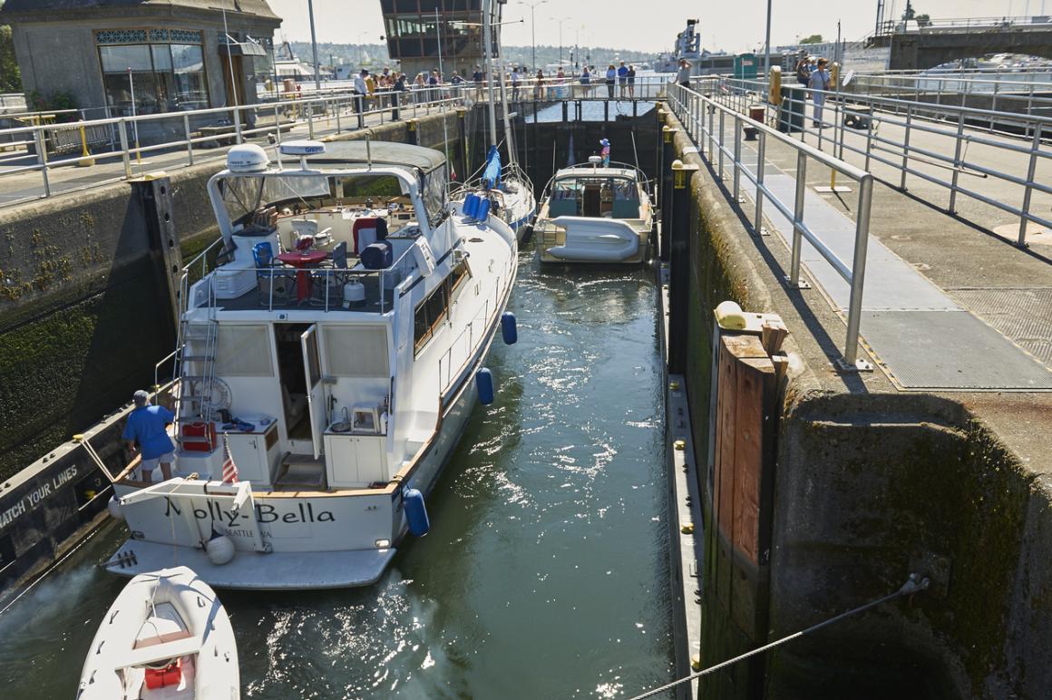 View of boats in the small lock at the Ballard Locks reopening to foot traffic post pandemic on April 28 2021