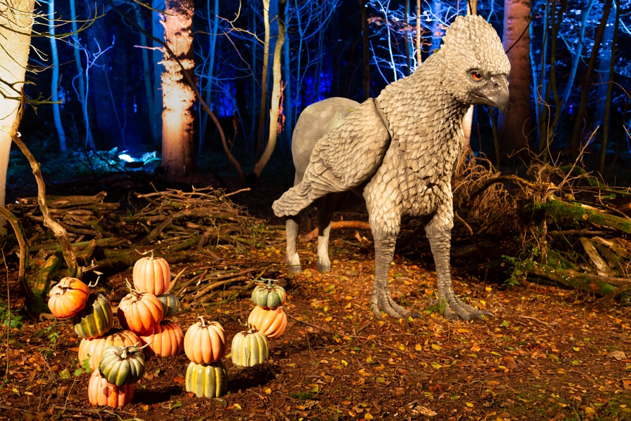 Buckbeak at Harry Potter: A Forbidden Forest Experience