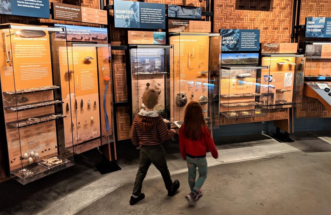 Young kids at Seattle's Burke Museum walking in front of a wall of natural history and cultur exhibits 