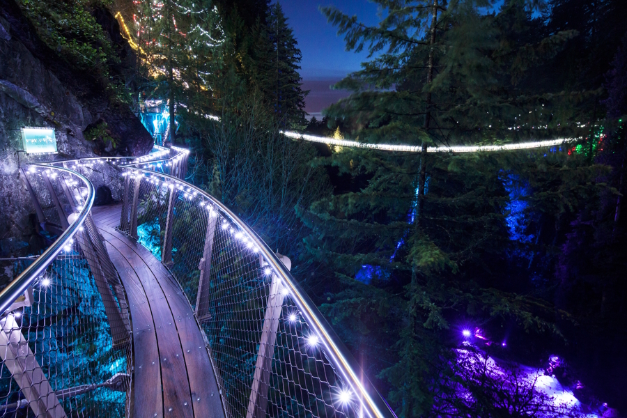 Capilano bridge lights