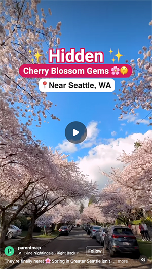 ParentMap Cherry Blossom Instagram Reel