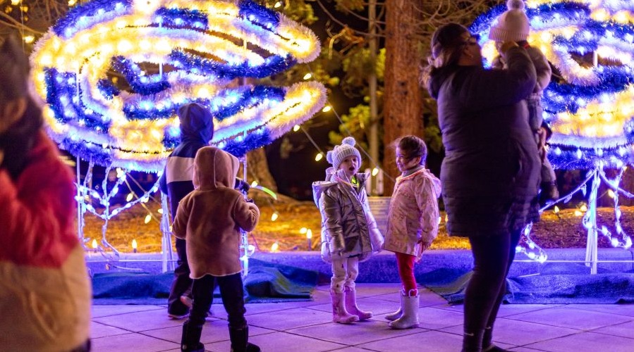Young children bask in the light display at Renton's Clam Lights.