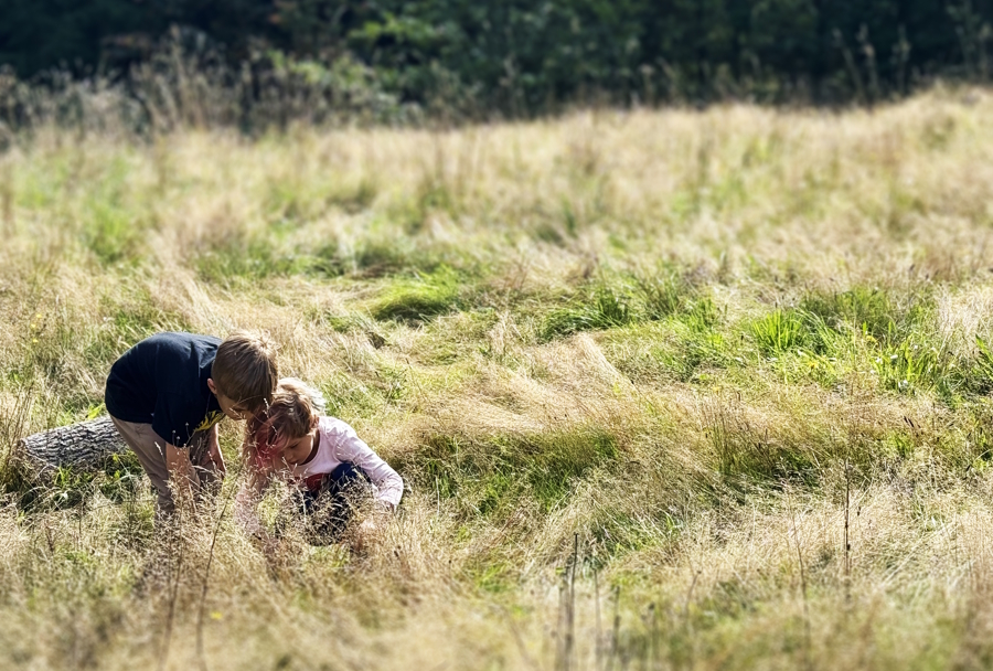 kids playing in a field at recess at The Attic school