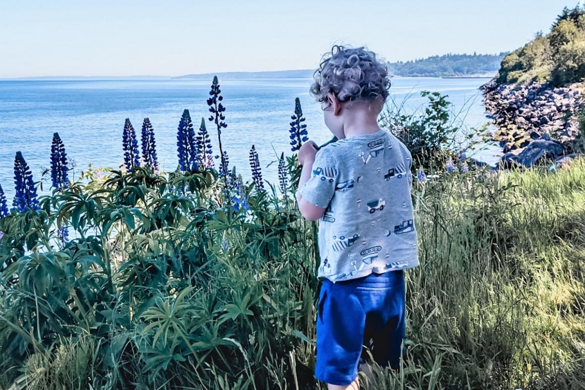 Boy in a field of wildflowers at Discovery Park overlooking the bluff best stuff to do with kids in Seattle area's biggest parks