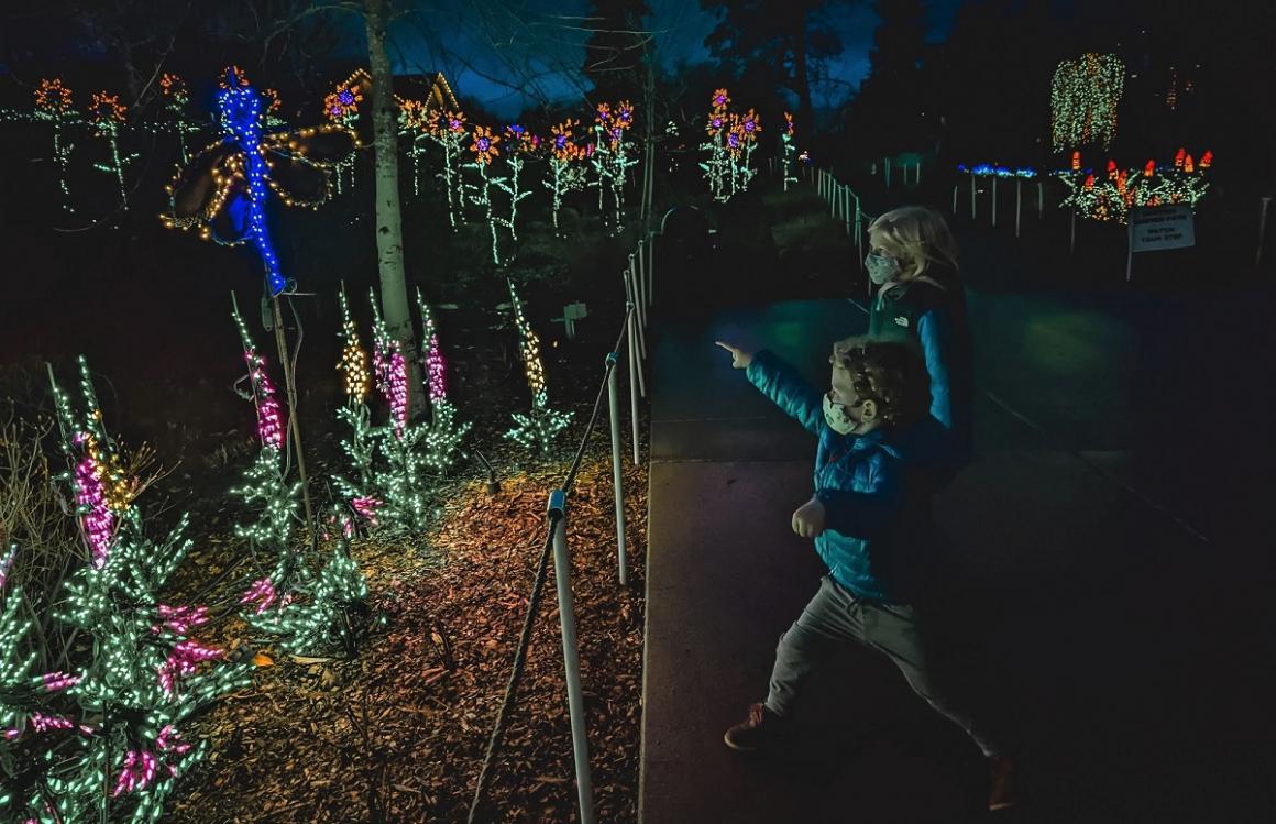 A family with kids looks at the light displays at Bellevue Botanical Gardens Garden d'Lights holiday season light show Seattle activities for families