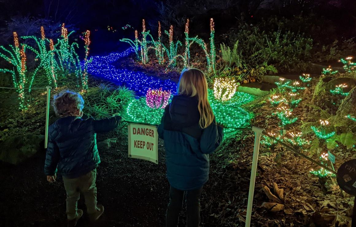 A family with kids looks at the light displays at Bellevue Botanical Gardens Garden d'Lights holiday season light show Seattle activities for families