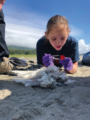 girl studying a bird on the beach