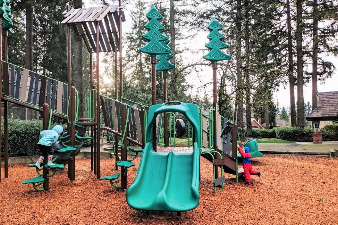Heron Park play equipment new play area unveiled small kids playing Mill Creek