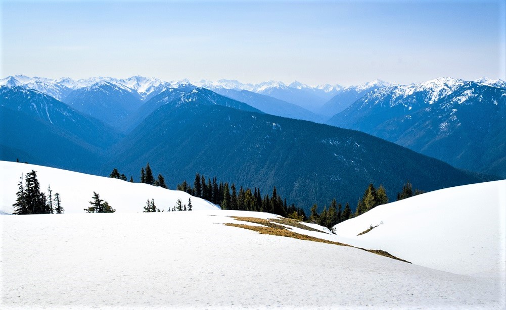 Hurricane-Ridge-Olympic-National-Park-snow-winter-every-kid-outdoors-national-park-pass-how-to-get