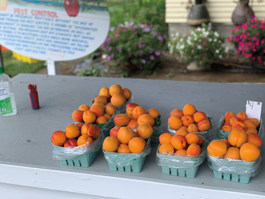 fruit stand with peach cartons