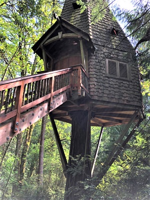 Bog treehouse at islandwood on bainbridge island is among forts towers and treehouses to visit with seattle area kids