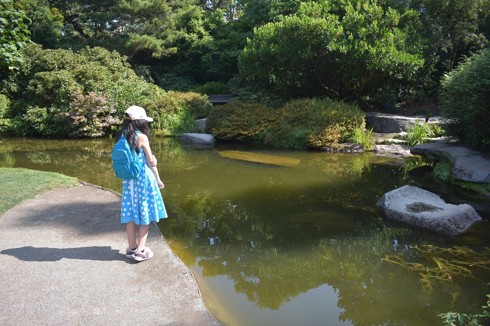 Best-park-nature-kids-south-Seattle-Renton-Kubota-Japanese-garden
