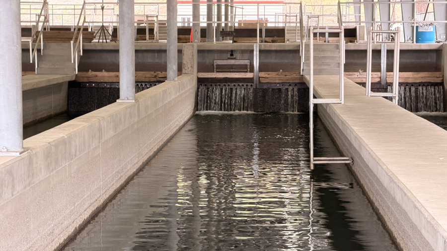 holding pond for salmon at the Leavenworth hatchery