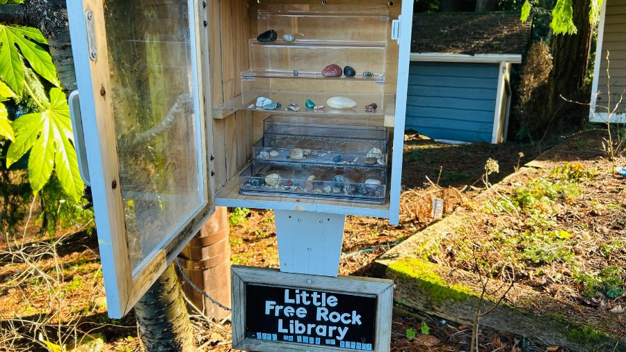 Little Free Rock Libraries